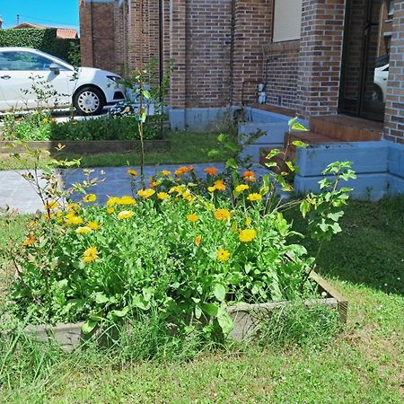 Casa Grande Con Jardin Villa Santa Cruz De Bezana Exterior foto